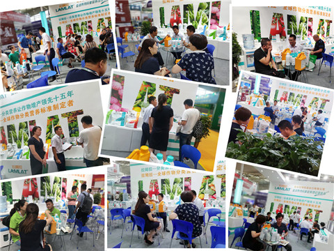 新疆，植保會，拉姆拉，翠姆，伯示麥