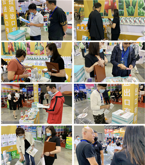 植保會，拉姆拉，翠姆