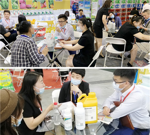 植保會，拉姆拉，翠姆