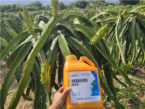 水溶肥，拉姆拉，翠姆