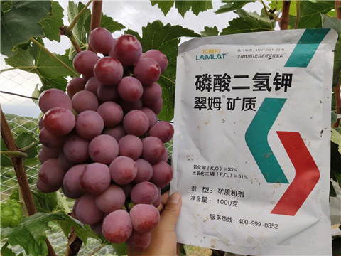 進(jìn)口水溶肥，拉姆拉，翠姆