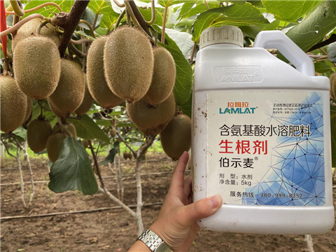 水溶肥，生根劑，微生物菌劑，伯示麥，拉姆拉