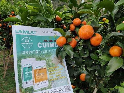 顆粒水溶肥，拉姆拉，翠姆