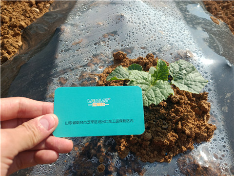 水溶肥，拉姆拉