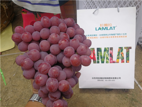 葉面肥，磷酸二氫鉀，鈣肥，翠姆，拉姆拉