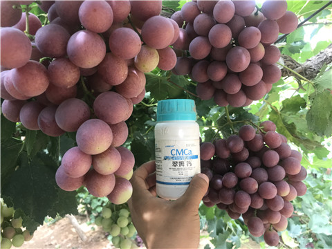 葉面肥，磷酸二氫鉀，鈣肥，翠姆，拉姆拉