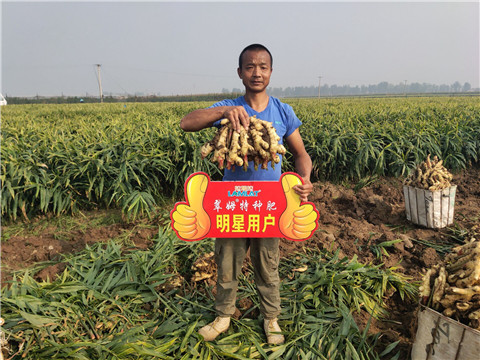 進口水溶肥，拉姆拉，翠姆