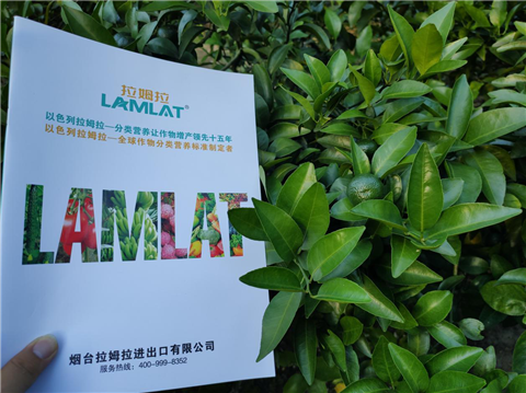 水溶肥，拉姆拉，翠姆
