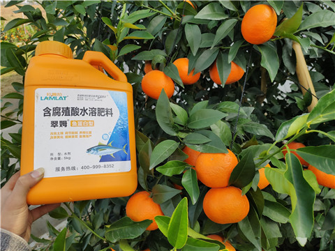 滴灌肥，拉姆拉，翠姆