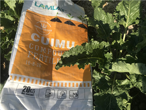 顆粒水溶肥，拉姆拉，翠姆