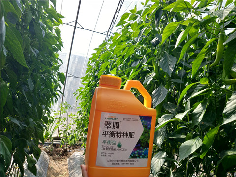 滴灌肥，拉姆拉，翠姆