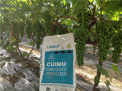 水溶肥，拉姆拉，翠姆