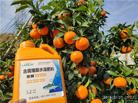 水溶肥，拉姆拉，翠姆