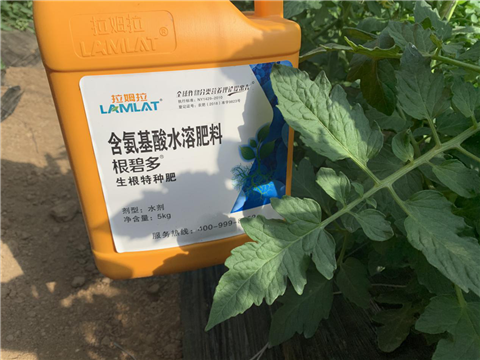 水溶肥，拉姆拉，翠姆