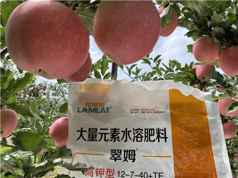 大量元素水溶肥，拉姆拉，翠姆