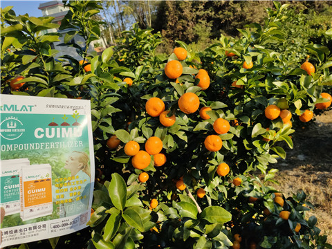 進(jìn)口水溶肥，拉姆拉，翠姆