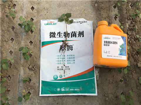 水溶肥，拉姆拉，翠姆