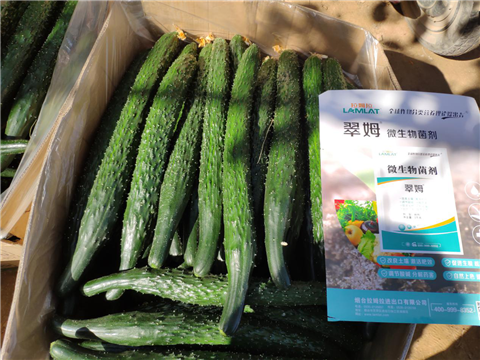 微生物菌劑，拉姆拉，翠姆