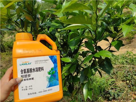 沖施肥，拉姆拉，翠姆