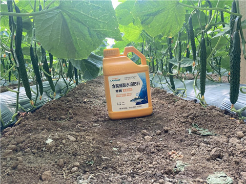 作物施肥管理，拉姆拉，翠姆