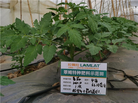 水溶肥，拉姆拉，翠姆