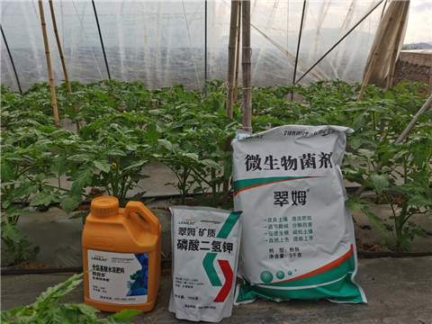 水溶肥，拉姆拉，翠姆