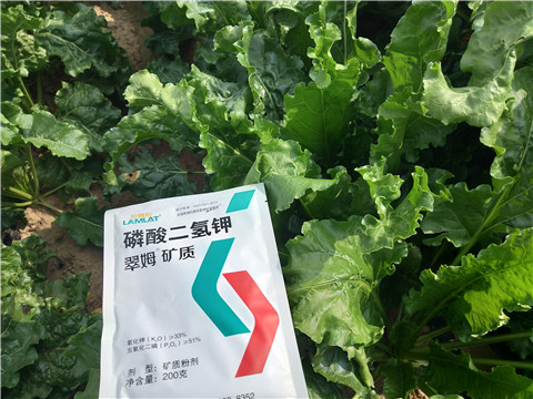 水溶肥，拉姆拉，翠姆