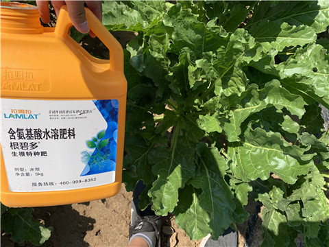 水溶肥，拉姆拉，翠姆