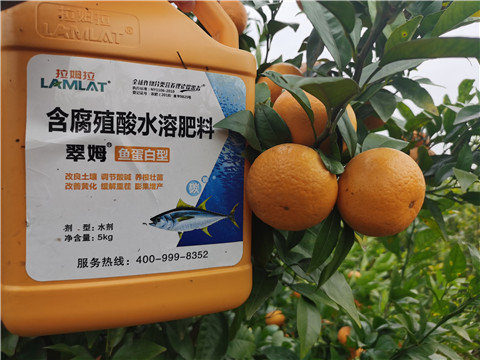 水溶肥，拉姆拉，翠姆