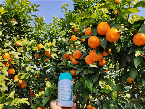 葉面肥，拉姆拉，翠姆