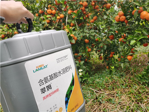 水溶肥，拉姆拉，翠姆