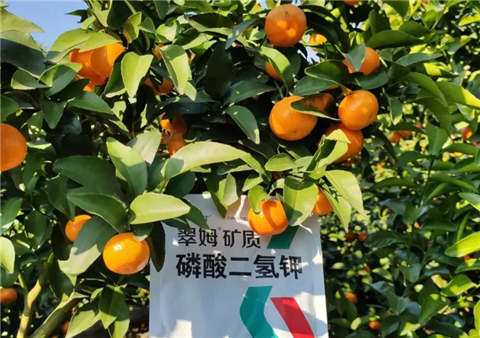 磷酸二氫鉀，拉姆拉，翠姆