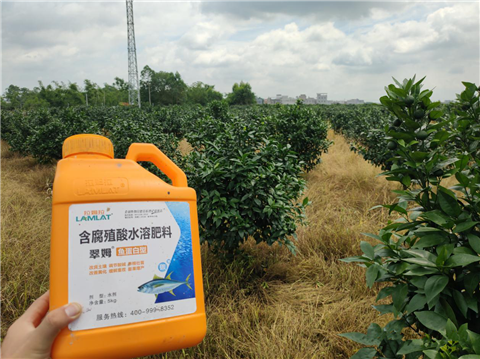 水溶肥，拉姆拉，翠姆