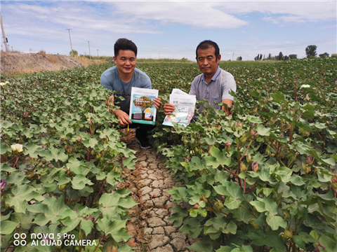 水溶肥，拉姆拉，翠姆