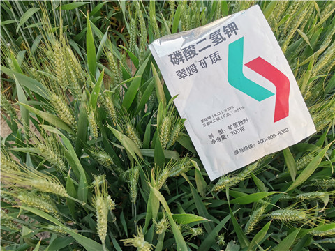 水溶肥，拉姆拉，翠姆