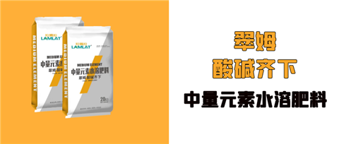 水溶肥，拉姆拉，翠姆