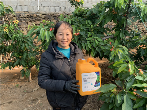 水溶肥，拉姆拉，翠姆