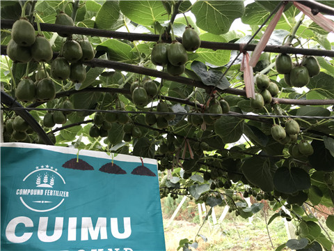 顆粒復(fù)合肥，拉姆拉，翠姆