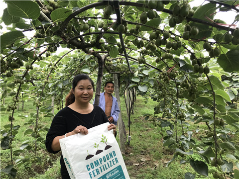 顆粒復(fù)合肥，拉姆拉，翠姆