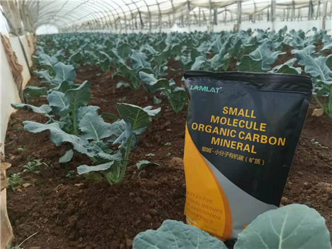 小分子有機(jī)碳，拉姆拉，翠姆