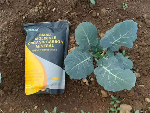 小分子有機(jī)碳，拉姆拉，翠姆