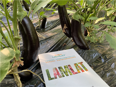 水溶肥，拉姆拉，翠姆