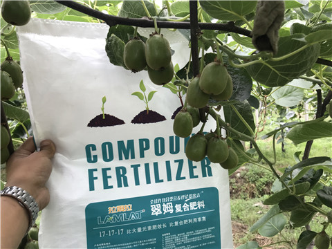 顆粒水溶肥，拉姆拉，翠姆