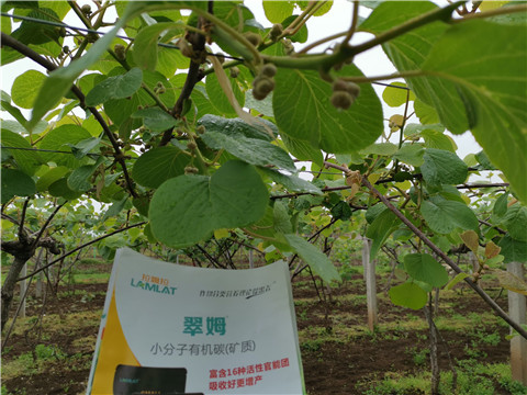 小分子有機(jī)碳，拉姆拉，翠姆