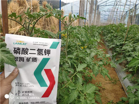 磷酸二氫鉀，拉姆拉，翠姆