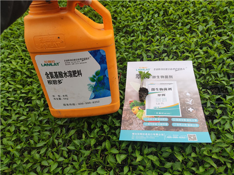 水溶肥，拉姆拉，翠姆