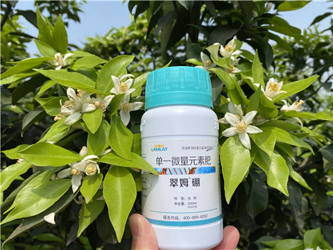 葉面肥，拉姆拉，翠姆