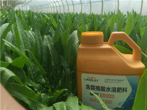 沖施肥，拉姆拉，翠姆