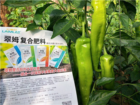 辣椒，拉姆拉，翠姆