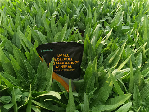 礦源黃腐酸鉀，拉姆拉，翠姆